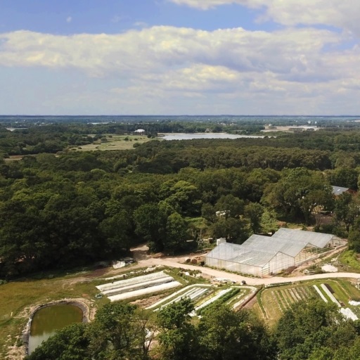 285489111_535307678261442_858719207410922819_n-1030x512